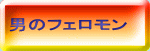 �j�̃t�F������