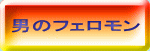 �j�̃t�F������