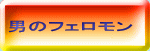 �j�̃t�F������