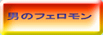 �j�̃t�F������